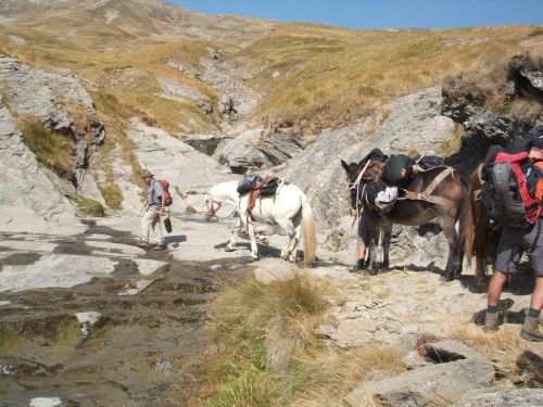 trekking con i muli-107.JPG